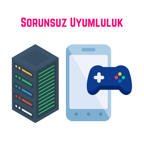 Sorunsuz Uyumluluk
