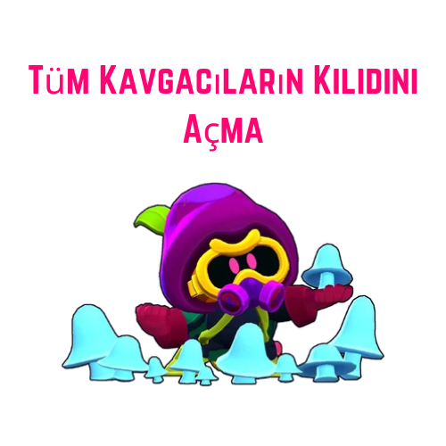 Tüm Kavgacıların Kilidini Açma