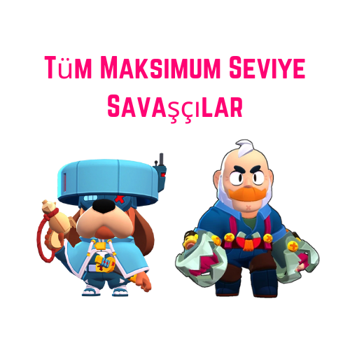Tüm Maksimum Seviye Savaşçılar