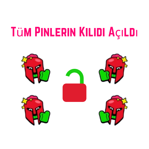 Tüm Pinlerin Kilidi Açıldı
